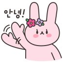 정교호헤어리더 이미지