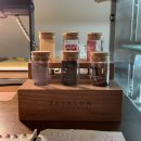 빈야드10(vineyard10) 이미지