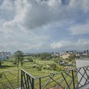 아라스테이 이미지