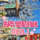 하모니-풍경 | 원주 벚꽃 카페, 원주 벚꽃 명소 [하모니] 내돈내산 방문 후기