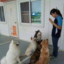 소귀에 경 읽기..(牛耳讀經) 이미지