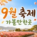 9월 축제 가볼만한곳 2026 전국 추천 BEST 총정리 이미지