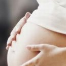 노약사네 이미지