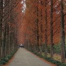 나주자원 이미지