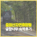리모델링 중미산자연휴양림 굴참나무 숙박후기 — 서울 근교 최고의 힐링 스팟