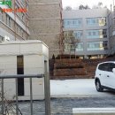 도담동_늘봄초등학교 이미지