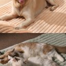 (주)헵스 이미지
