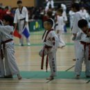 호원태권도체육관 이미지