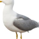 천사의상점