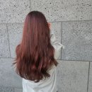 안중미용실 샵디토 전체염색 후기