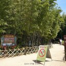 삼호3리 이미지