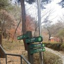 미디어트리 이미지