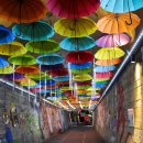 와인터널주차장 이미지