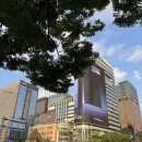 에이티커뮤니케이션 | [인턴] 사랑의열매 중앙회 홍보인턴 합격🍒 (서류-면접)