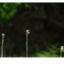 수산리-17 이미지