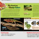 상남동240 이미지