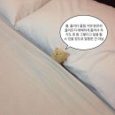 네일멜로디 - 함안군 중앙남길 11 | 네일멜로디