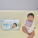 ㈜제일 | 팬티기저귀 샘플팩 추천 고민 끝에 팸퍼스 고른 솔직 후기