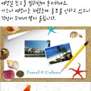 조아여행사 - 울릉군 도동길 253-6 | 조아여행사