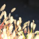 장흥 5리 | 장흥 열청정(閱淸亭)