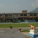 지현초교 이미지