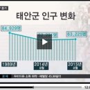 나연짱님 TV 뉴스에 나오다. 이미지