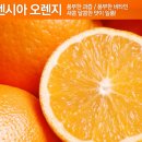 [쿠팡] 발렌시아 오렌지 이미지