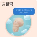 (주)벨모나 | [임신 23-25주차] 임신성 당뇨 검사 통과했지만 아기 배가 크다