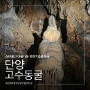 여행고수 | 단양 여행 필수코스 고수동굴 후기 | 입장료, 난이도, 주의사항 총정리