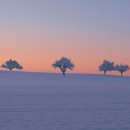 한국 SGI 이미지