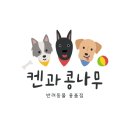 켄과콩나무 이미지