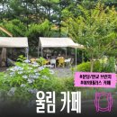 울림 - 성남시 분당구 대왕판교로385번길 28-1 | 분당 판교 테라스 브런치, 울림 카페 방문 후기