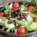 한국곤충연구소 이미지