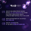 엑소바이옴코리아(주)