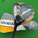 곰's 골프 이미지