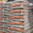 광덕약국 이미지