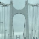 스파지오 | [부산 웨딩밴드 투어💍] 백작 바이 피렌체 부산점 내돈내산 당일계약 후기(스파지오)