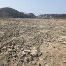 인천광역시 계양구 평동 15-3,15-4 지반조성공사 중 농지성토공사 | 중구토지(답)경매 [2023타경504919] 인천 중구 을왕동 198-1
