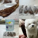 여시까까 이미지