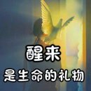 하얼빈테라피 이미지