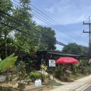 스윗딥 (SWEET DEEP) | 푸켓 카론비치 만다라바리조트 근처 맛집 스윗칠리 (sweet chilli) &amp; 카페