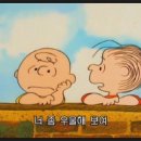 골드피부관리
