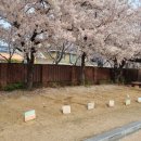 보광유치원 이미지