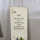 애비야칼국수 이미지