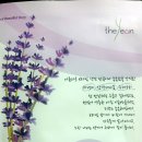 더연THEYEON