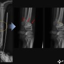 디오 동물병원 이미지