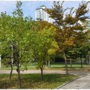 광교갤럭시공인중개사사무소 이미지