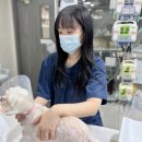 그랜드 동물병원 | 전농동 동물병원 강아지 내이염, 귀 속 깊은 곳의 보이지 않는 염증