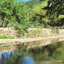 엄마네식당 이미지