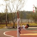 돌려차기태권도 이미지